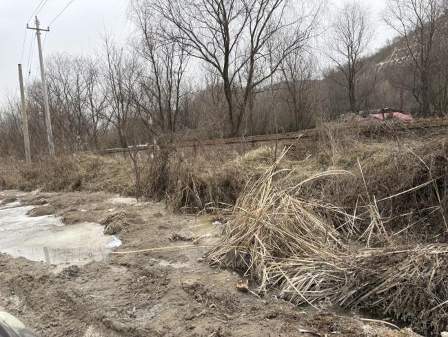 ӰһҶ԰Χǽˮû£ˮʨӡܱȫ