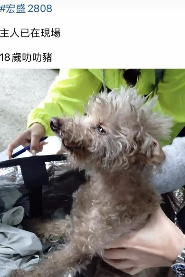 遗体照片和遗物辨认程序开放 火灾后续处理启动！