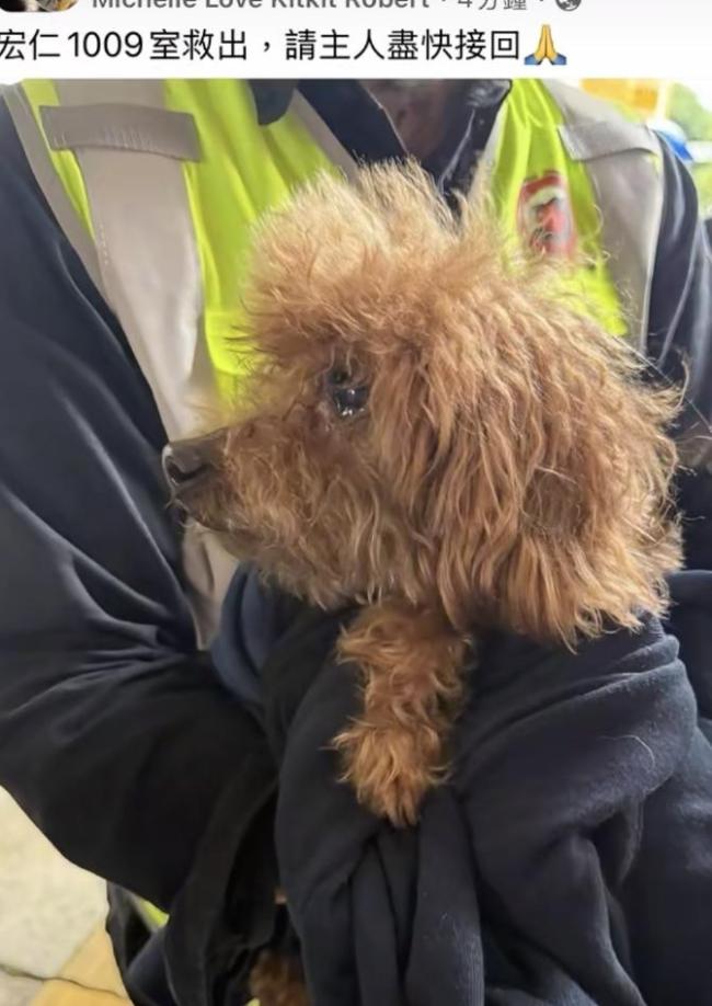 遗体照片和遗物辨认程序开放 火灾后续处理启动！