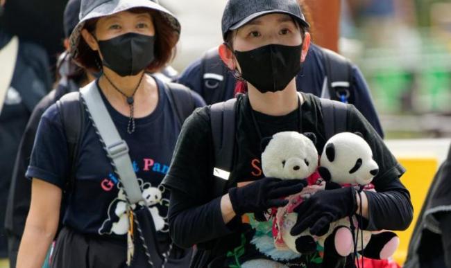 日本人求中國(guó)租大熊貓 經(jīng)濟(jì)與情感的雙重紐帶