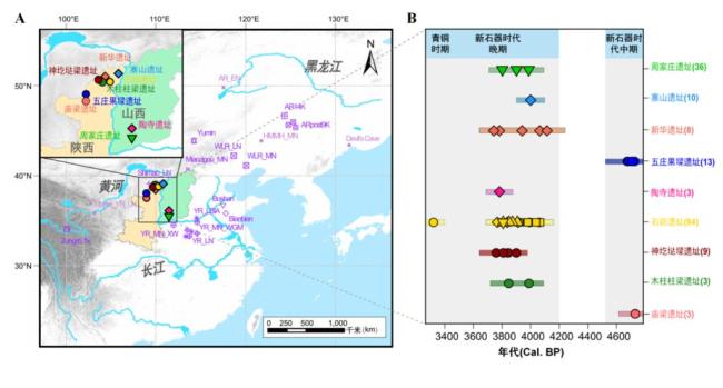 4300年前后的石峁城先民找到了 揭示早期社會遺傳結構