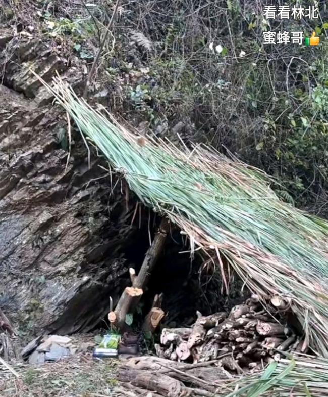 荒野求生林北深夜坦言想退赛 生食危机重重