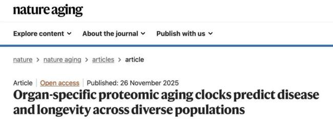 大腦“斷崖式衰老”的3個(gè)年齡 揭秘長(zhǎng)壽關(guān)鍵節(jié)點(diǎn)