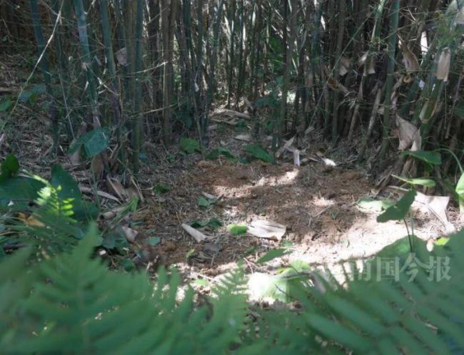 大叔挖蚯蚓挖出60斤千年“大宝贝” 千年铜鼓惊现世间