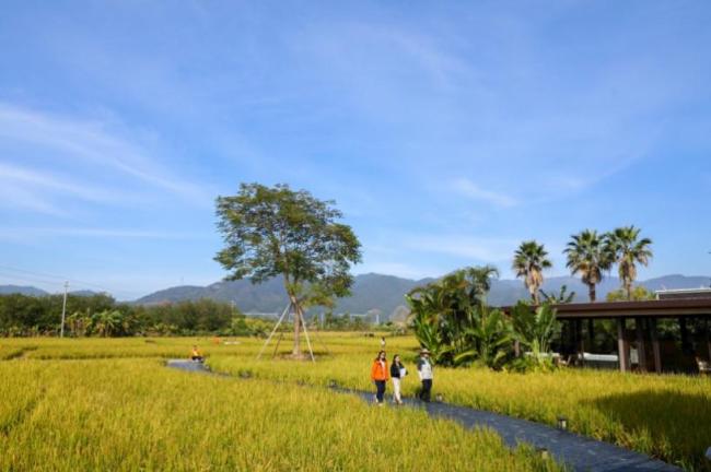 广东清远的城乡焕新之旅 媒体+网络强村推动发展