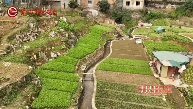 遵義湘江河漂浮糞水臭氣熏天 污水管網(wǎng)問題引關(guān)注