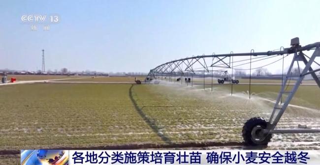 我国粮食主产区秋冬种基本结束 田管有序展开