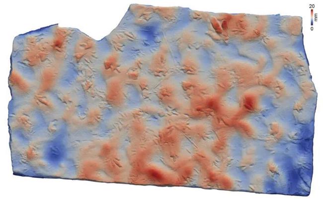 墊腳石竟是恐龍化石 揭示侏羅紀(jì)秘密