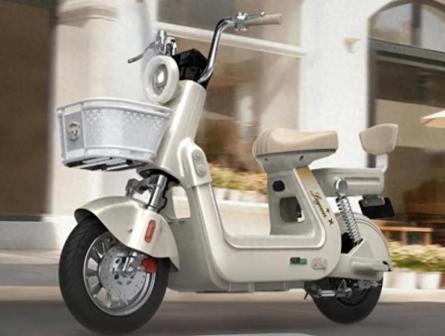 新国标电动自行车涨价几百元 成本上涨所致