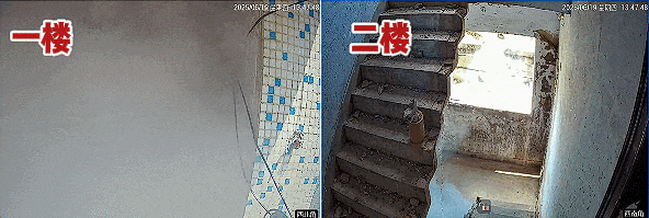 新舊國標電動自行車燃燒對比差幾秒？