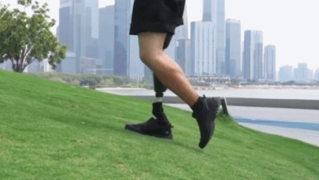 科技為殘疾人插上“隱形翅膀”