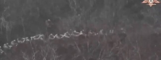 乌军列队投降，米尔诺格勒枪声渐稀！ 被包围事实公开