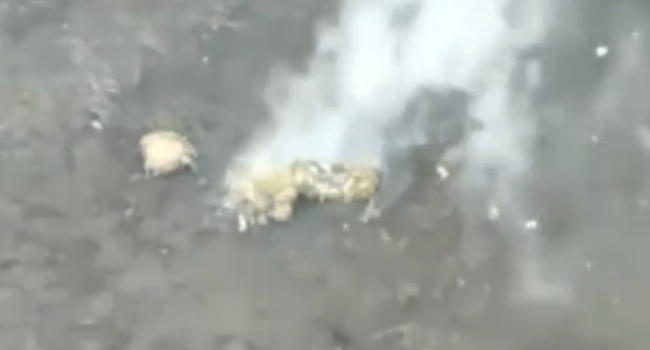 乌狙击手平原上穿着伪装衣一动不动 被俄无人机瞬间发现遭袭身亡