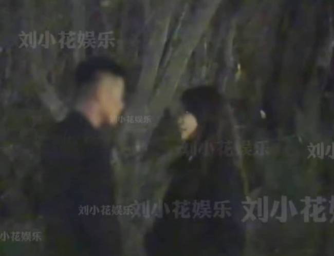 张佳宁与高至霆疑似已分手 新恋情曝光引发热议