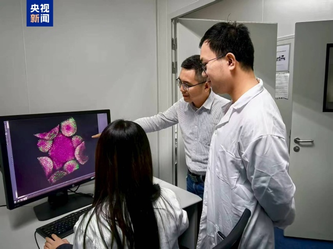 中國科學(xué)家破解植物再生密碼 揭示細(xì)胞壁調(diào)控機(jī)制