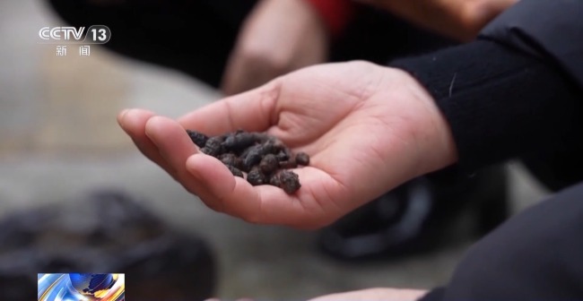 骗子包装神药精准收割老年人，专挑中老年人下手