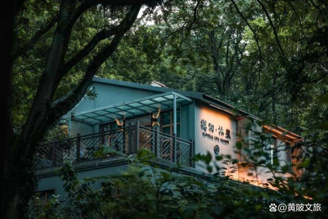 武汉“过命兄弟”获省级表彰 黄陂信用监管创新成果显著