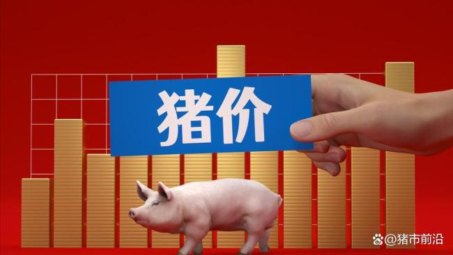 12月6日猪价维持11.3元/公斤