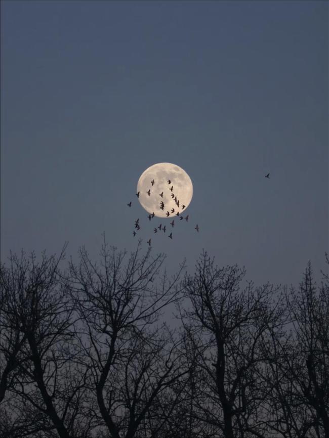 今年最后一次超级月亮看了吗？