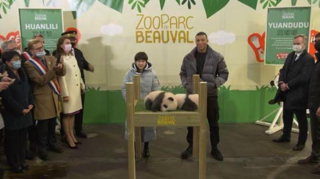 法新社镜头下的马克龙访问川大 熊猫“圆梦”见证中法情谊