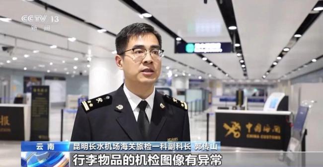 女子裤子内藏2斤多活虫入境被查 人体夹藏活虫案引发关注