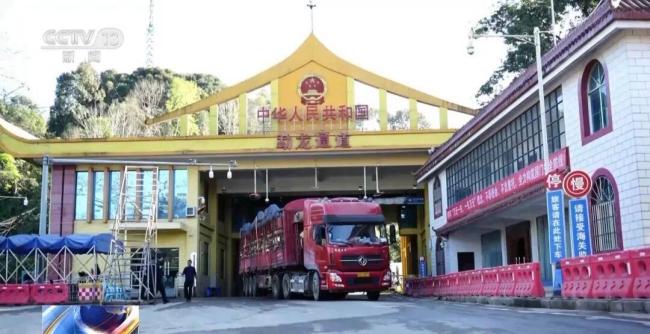 女子裤子内藏2斤多活虫入境被查 人体夹藏活虫案引发关注