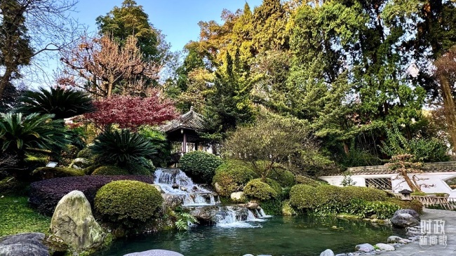 時政新聞眼丨從中法元首會晤的四個“特殊”，讀懂大國相處之道