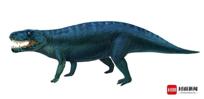 都江堰首次发现2亿年前恐龙足迹 揭开古生物秘密