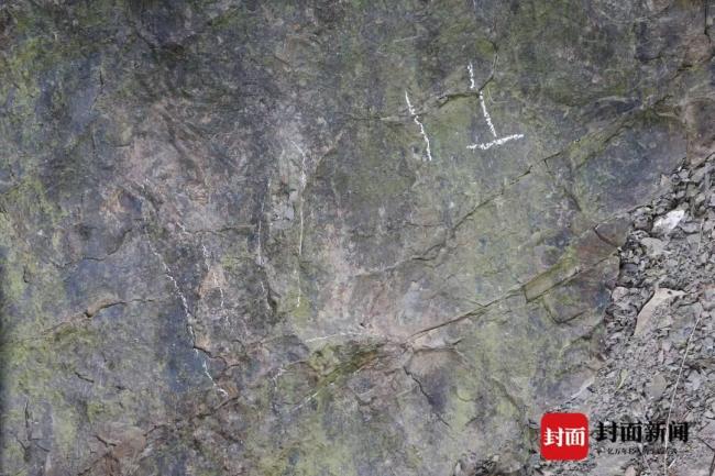 都江堰首次发现2亿年前恐龙足迹 揭开古生物秘密