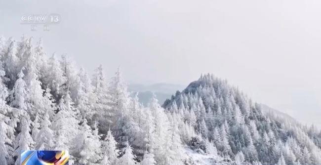 “大雪不冻倒春寒”的气候密码 古人智慧与现代科学的交汇