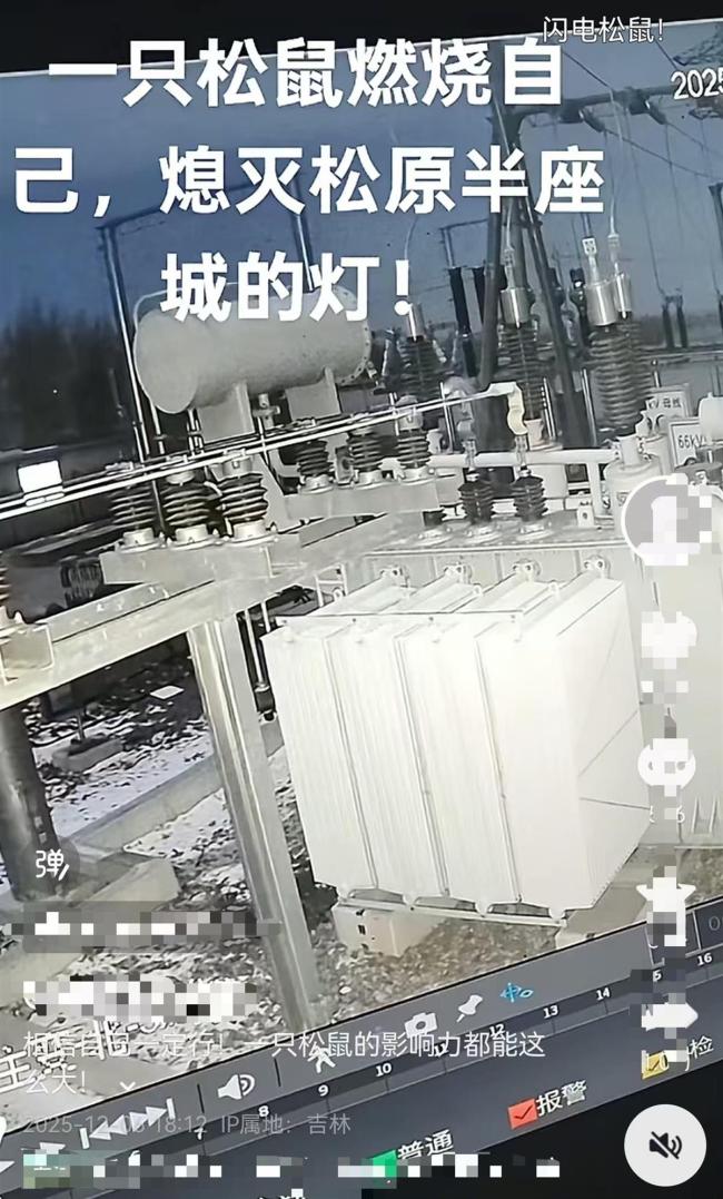 一只松鼠讓半個吉林松原停電？不實 負(fù)荷過載所致