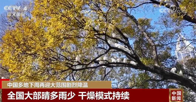 多地下周再迎剧烈降温 或将带来大范围雨雪天气