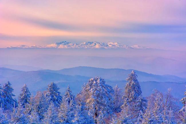 今日大雪 要做这些事 感受冬日仪式感