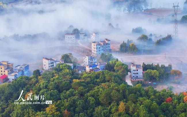 湖南嘉禾：冬日晨曦美如畫