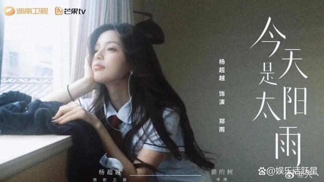 猫的树导演今天是太阳雨 青春治愈双向救赎