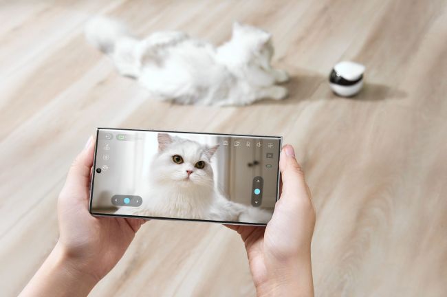 深圳公司做AI陪伴機器人 拿下紅杉投資 從陪寵到全球百萬用戶