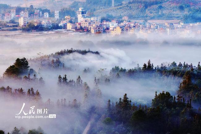 湖南嘉禾：冬日晨曦美如畫