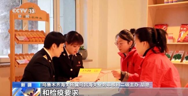 為何前11個月外貿走得穩?三大關鍵詞解讀