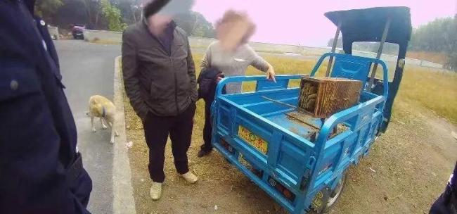 伤亡惨重!两派蜜蜂打起来了 蜂群争斗引发赔偿纠纷