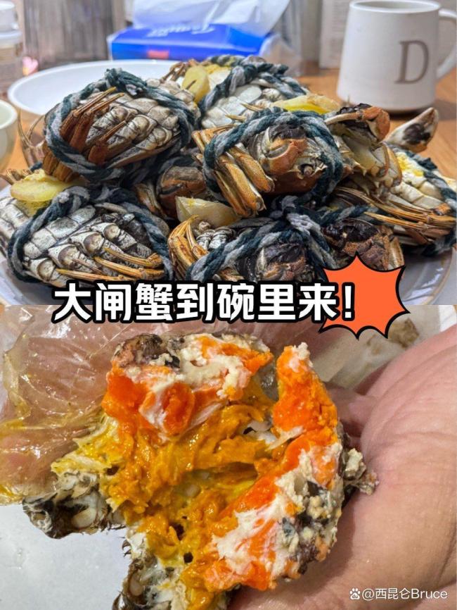 大閘蟹為啥會(huì)在歐美泛濫成災(zāi) 生態(tài)警報(bào)觸發(fā)