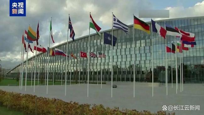 泽连斯基松口了 愿举行选举