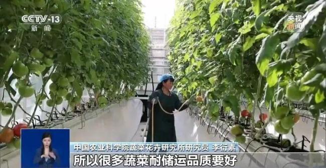 反季節(jié)蔬菜吃了等于白吃？假的 粉碎謠言，真相來了