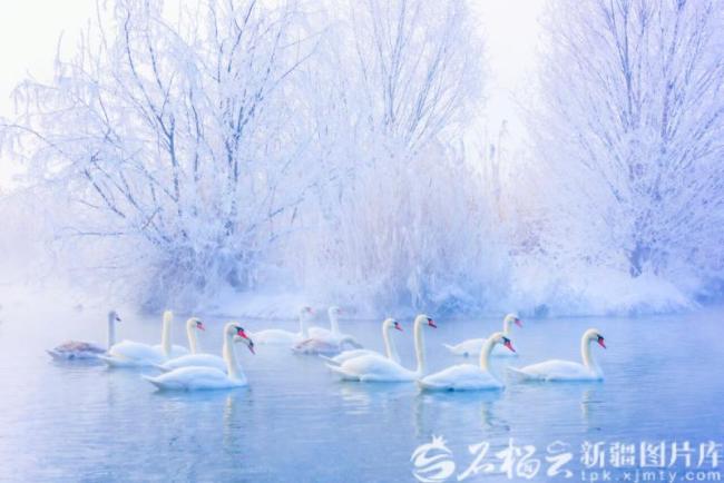 全国初雪地图出炉 新疆雪景稳坐“冬日顶流”