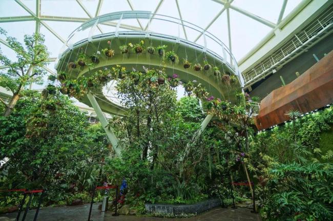 超适合冬日遛娃,北京室内“热带雨林”攻略请收好 温暖景美亲子游