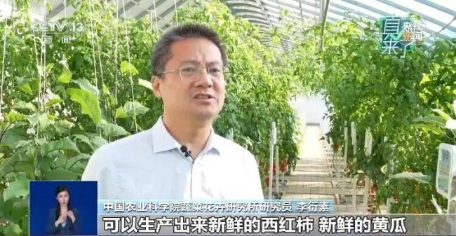 反季節(jié)蔬菜吃了等于白吃？謠言 粉碎不實傳言