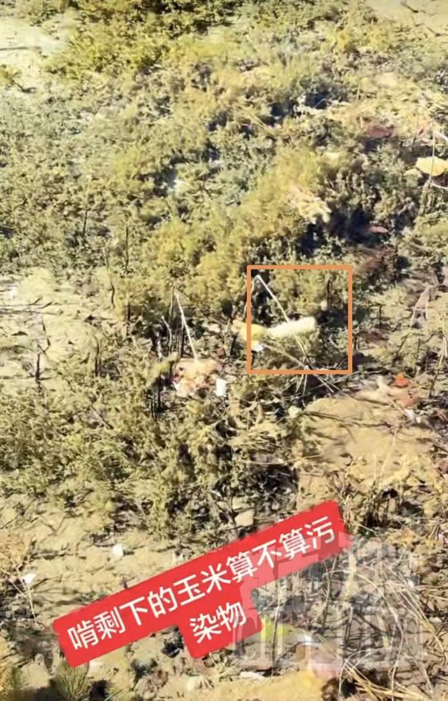 男子九寨溝景區(qū)扔玉米棒被游客指責(zé) 個人素質(zhì)引爭議