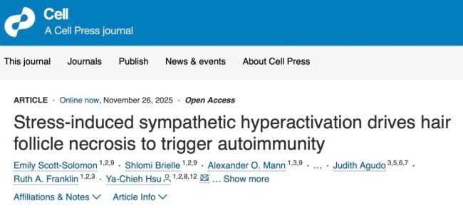 頭發(fā)是身體健康的“報(bào)警器” 反映全身健康狀況