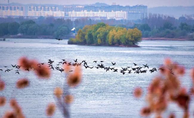 河南冬景上新 雪染山林文旅狂歡
