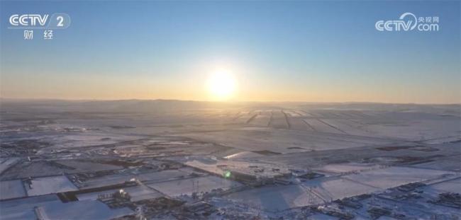 寒潮来袭“速冻"模式如何应对 多地启动应急措施保民生