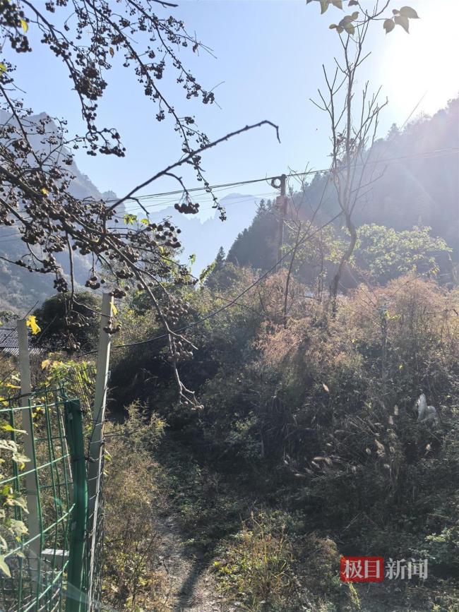 張家界荒野求生8人平分48萬獎金 賽事因寒潮提前終止